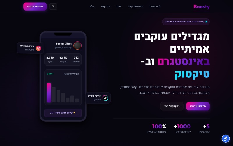 צילום מסך של אתר Boostingy שבנינו